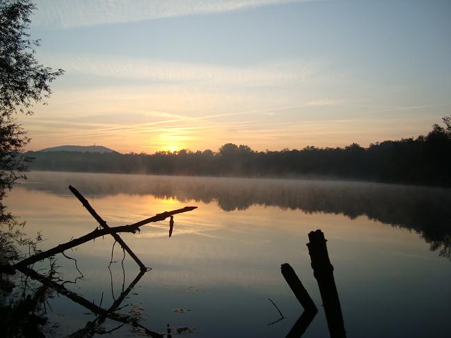 Baggersee im Morgennebel